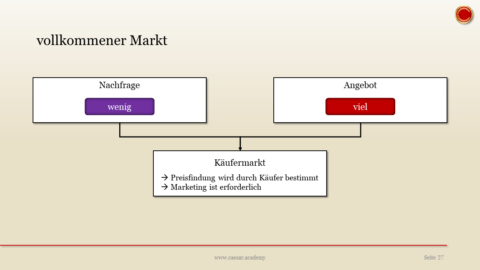 Vollkommener Markt Beispiel